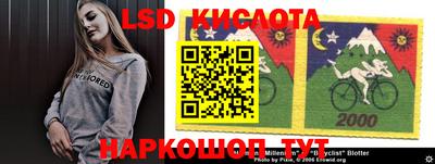 прущие грибы Моздок