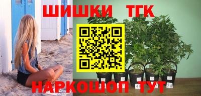 прущие грибы Моздок