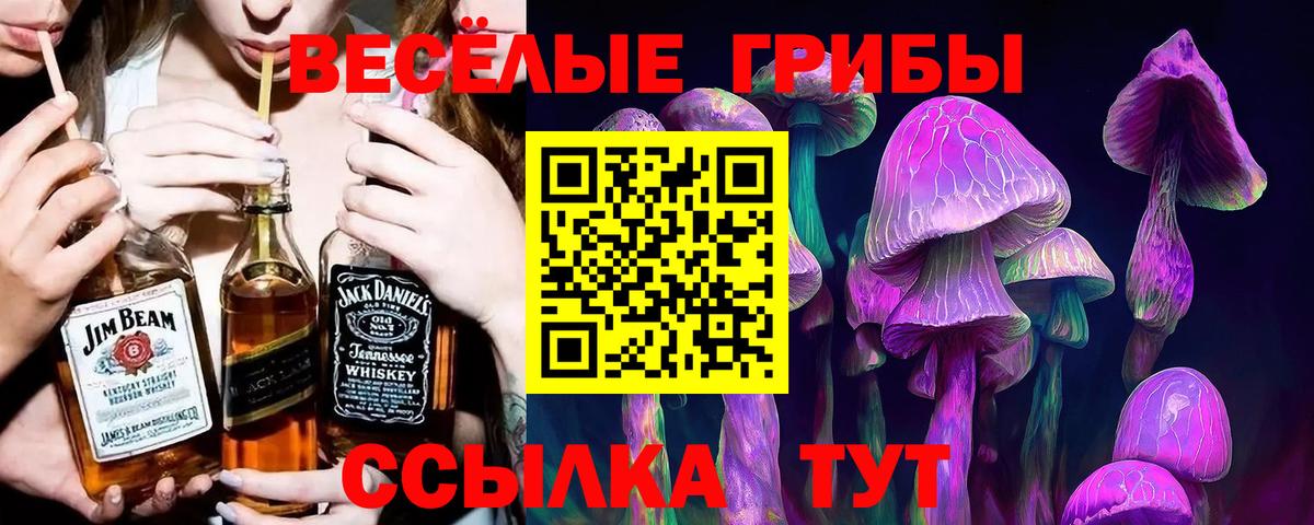Тверь  Псилоцибиновые грибы MAGIC MUSHROOMS  Галлюциногенные грибы мицелий  Вход с VPN 